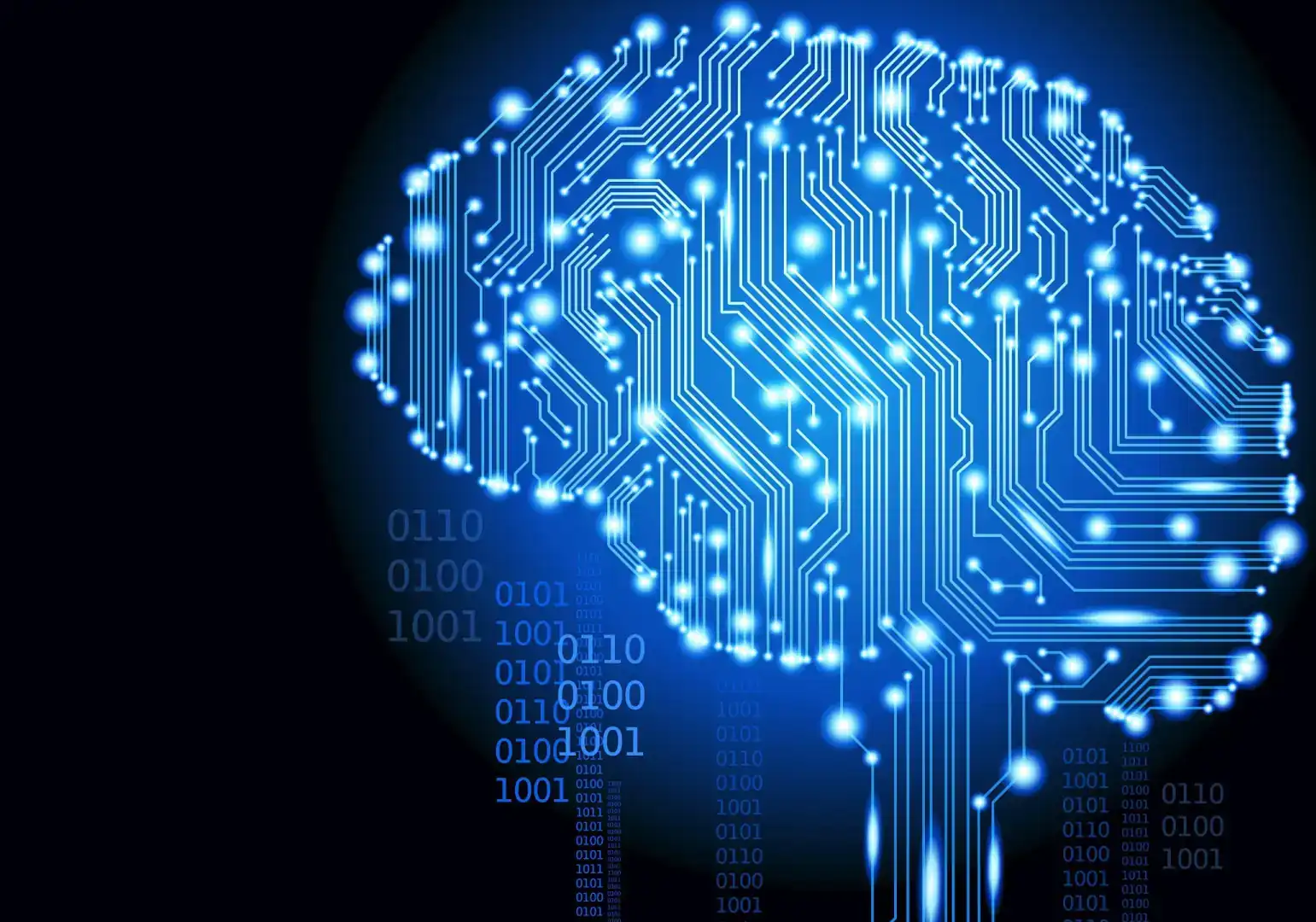 Brain