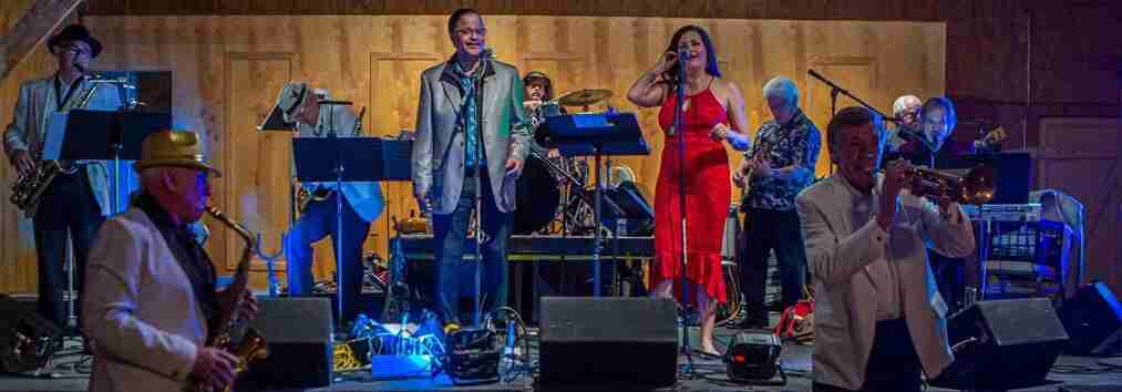 The Soul Cats performing